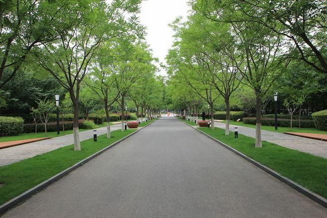 尊龙抖圈(中国区)官方网站-为du而生