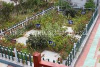 河南污水处置设备若何安全装置